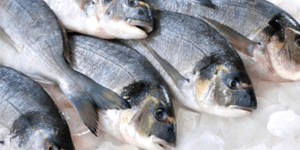 Alternativas de Peixes Econômicos e Nutritivos ao Salmão